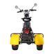 Електроскутер трицикл CEMOTO C11A Сitycoco (Сітікоко) 2000W 60V 20Аh 1530004 фото 5