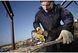 Пила лобзикова акумуляторна DeWALT DCS331N 1514775 фото 4