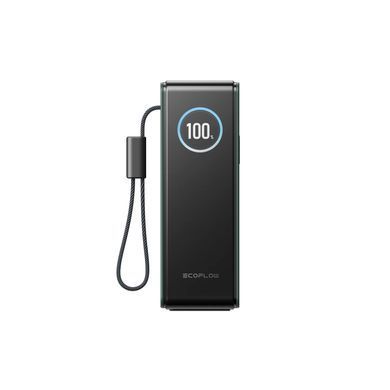 Павербанк EcoFlow RAPID Power Bank с кабелями 25000mAh зеленый 1540263 фото