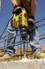 Бур DeWALT DT60845 1514478 фото 14