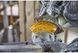 Пила торцювальна акумуляторна безщіткова DeWALT DCS727N 1514829 фото 9