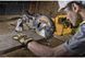Пила торцювальна мережева DeWALT DWS773 1514836 фото 6
