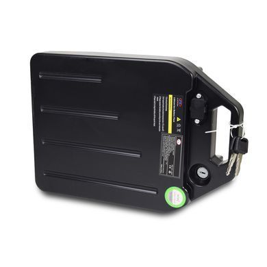 Акумулятор знімний 60V 20Ah для Citycoco (Сітікоко) 1529981 фото